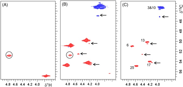 Figure 9