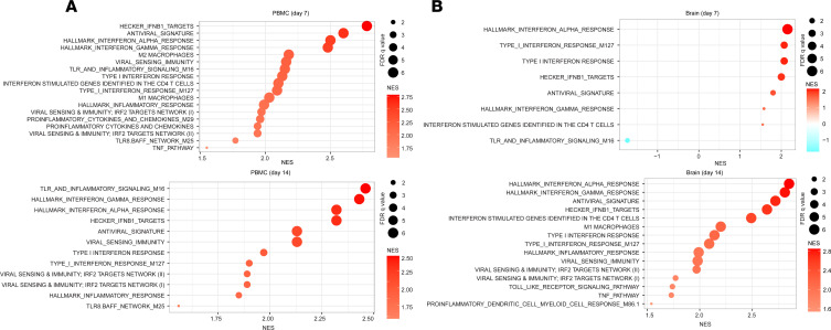 Figure 10