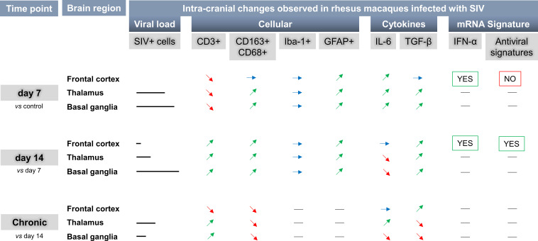 graphic file with name jciinsight-6-152013-g243.jpg