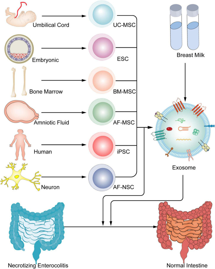 FIGURE 3