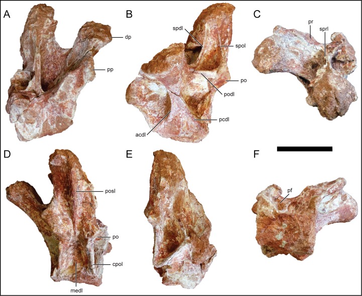 Fig 10