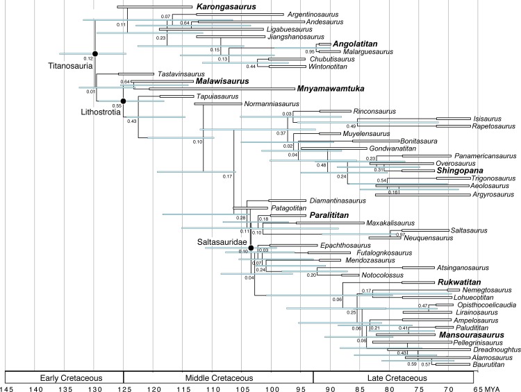 Fig 29