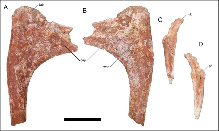 Fig 18