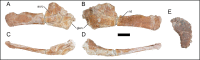 Fig 20