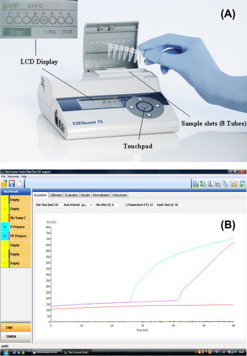 Fig. 1