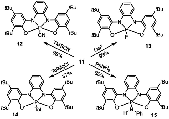 Scheme 2