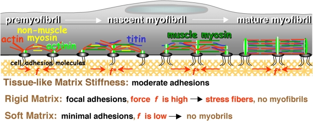 Figure 9.