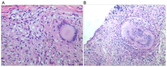 Figure 4.