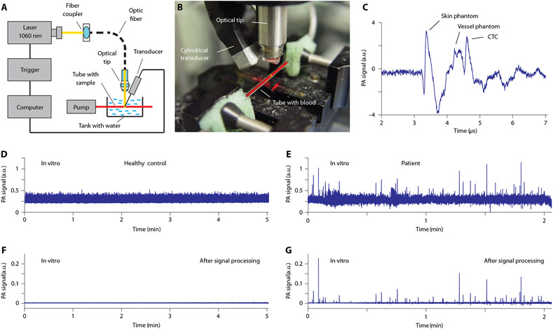 Fig. 3.