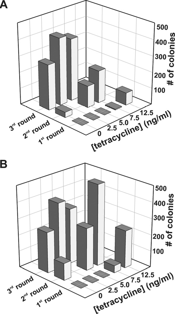 FIGURE 5.