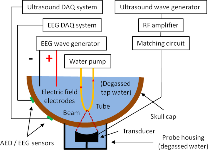 Fig. 3: