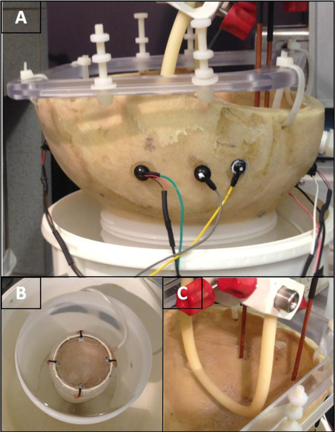 Fig. 4: