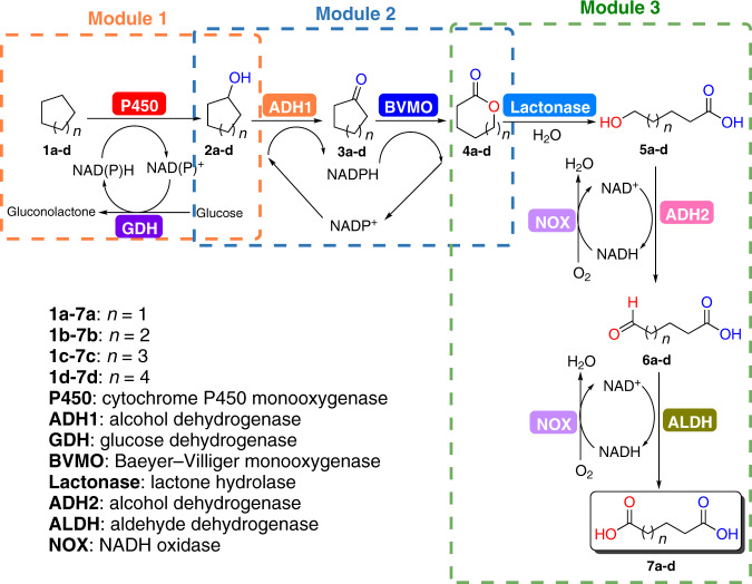 Fig. 2