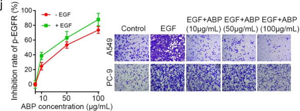 Fig. 1j