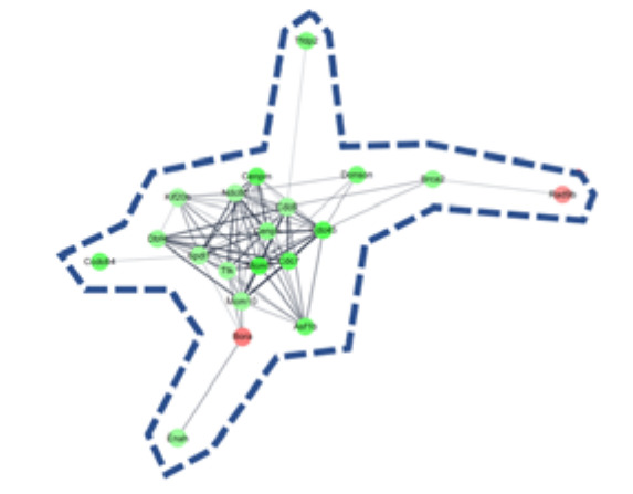 graphic file with name molecules-26-02895-i001.jpg