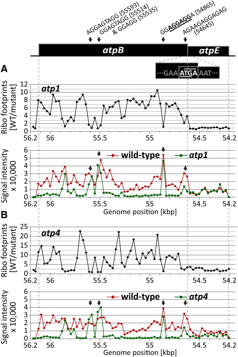 Figure 6.