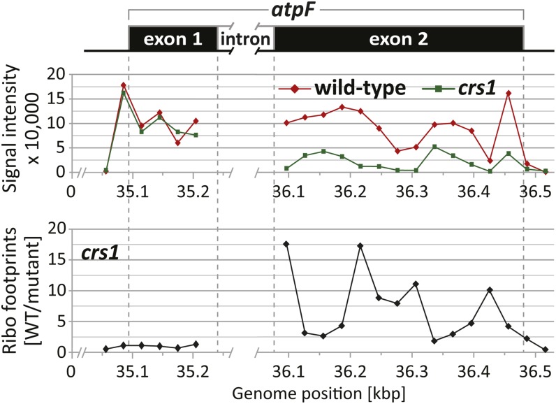 Figure 7.