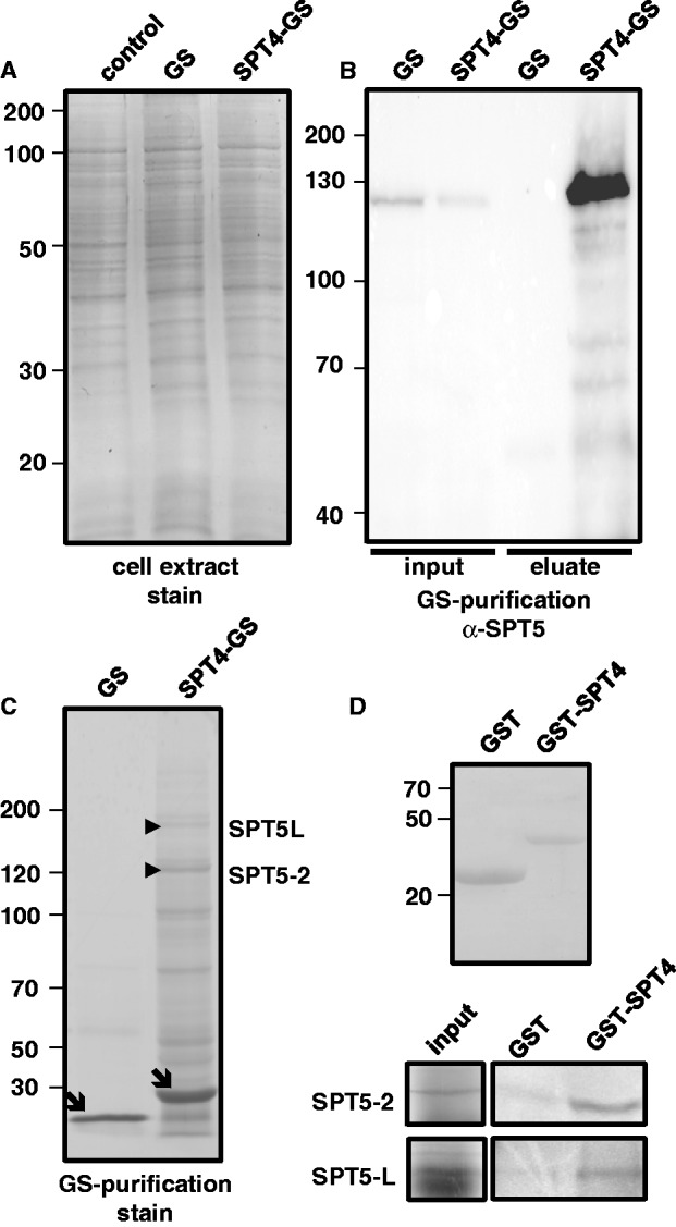 Figure 5.