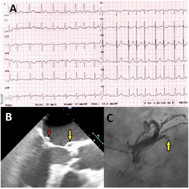 Figure 2