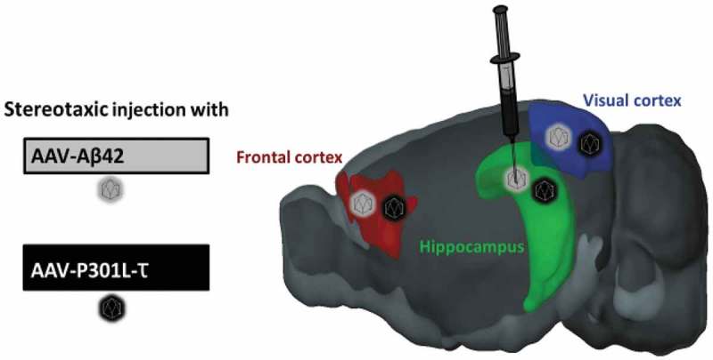 Figure 2.