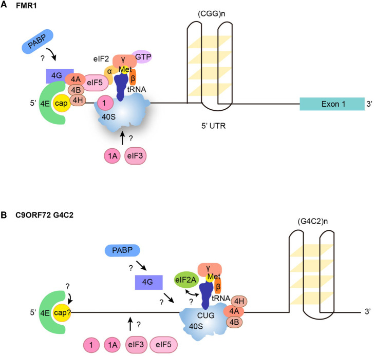 Figure 2.