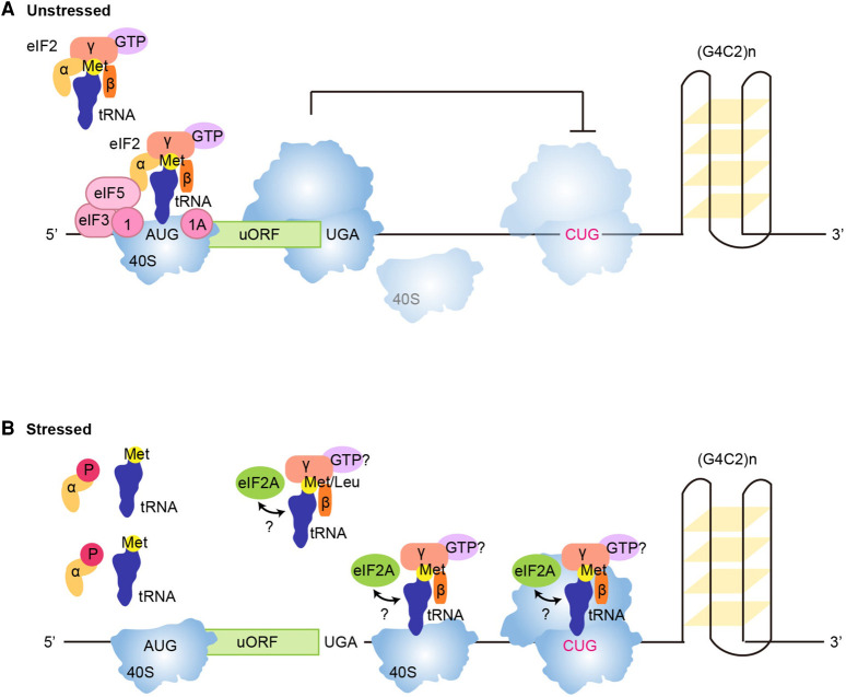 Figure 3.