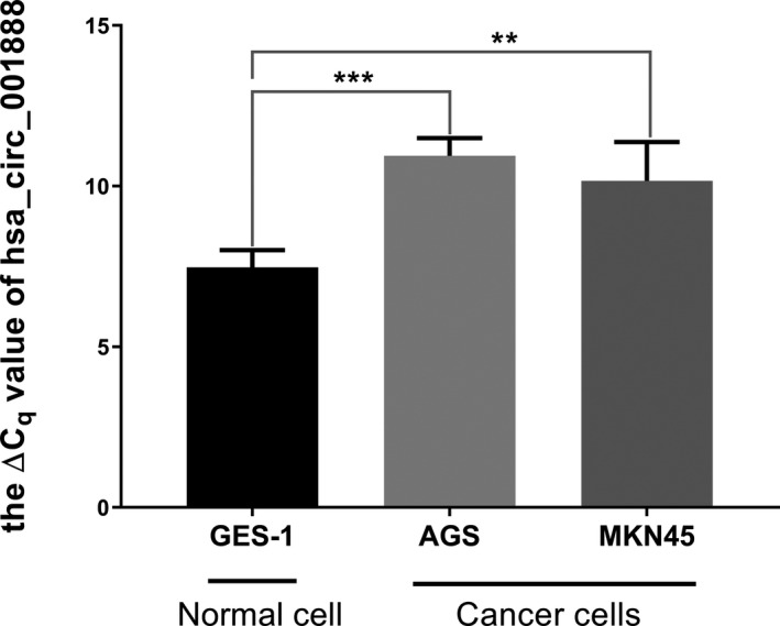 FIGURE 2