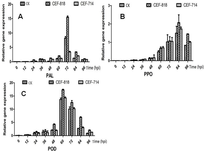 Fig 2