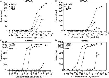 Figures 1A and 1B plot activation of human and mouse isoforms of PPAR gamma as luciferase values normalized with beta-galactosidase values (y-axis) across increasing concentrations of ligands from picomolar to micromolar concentrations (x-axis) for the chemicals TBT, DBT and the PPAR gamma-specific agonist ROSI. Figures 1C and 1D plot activation of human and mouse isoforms of RXR alpha as luciferase values normalized with beta-galactosidase values (y-axis) across increasing concentrations of ligands from picomolar to micromolar concentrations (x-axis) for the chemicals TBT, DBT, and the RXR-specific agonist 4204.