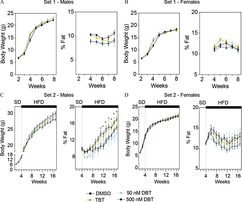 Figures 4A and 4B each comprise two line graphs plotting weekly measurements of body weight in grams and percentage of fat (y-axis) for male animals and female animals (Set 1), respectively, maintained on a standard diet and in utero exposed to DMSO, TBT, 50 nanomolar DBT, and 500 nanomolar DBT between weeks 2 and 8 (x-axis). Figures 4C and 4D each comprise two line graphs each plotting weekly measurements of body weight in grams and percentage of fat (y-axis) for male and female animals, respectively, from set 2, maintained on a standard diet until week 4 and on a higher fat diet between weeks 4 and 17, and in utero exposed to DMSO, TBT, 50 nanomolar DBT, and 500 nanomolar DBT between weeks 4 and 17 (x-axis).