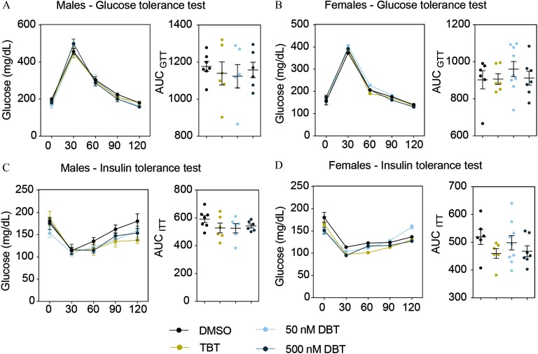 Figures 5A and 5B each comprise two graphs each plotting the concentration of glucose in milligrams per deciliter and area under the curve during glucose tolerance (y-axis) for male and female animals, respectively, from set 1, and treated with DMSO, TBT, 50 nanomolar DBT, and 500 nanomolar DBT. Glucose levels are measured from 0 till 120 minutes (x-axis). Figures 5C and 5D each comprise two graphs each plotting the concentration of glucose in milligrams per deciliter and area under the curve during insulin tolerance test (y-axis) for male and female animals, respectively, and in utero exposed to DMSO, TBT, 50 nanomolar DBT, and 500 nanomolar DBT. Glucose levels are measured from 0 till 120 minutes (x-axis).