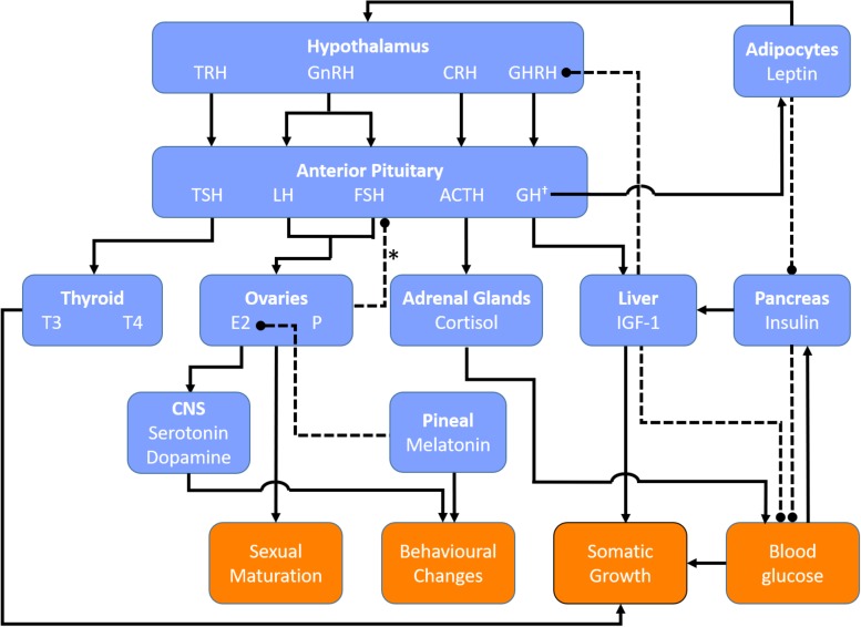 FIGURE 2