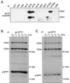 FIG. 7