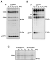 FIG. 6