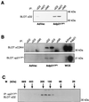 FIG. 8