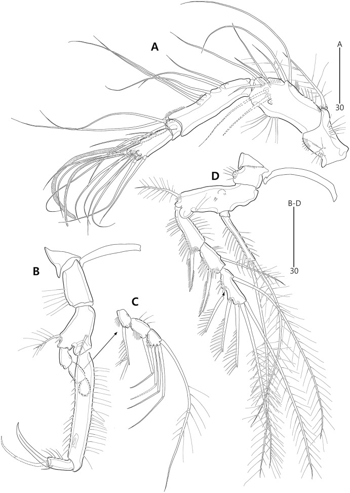 Figure 11