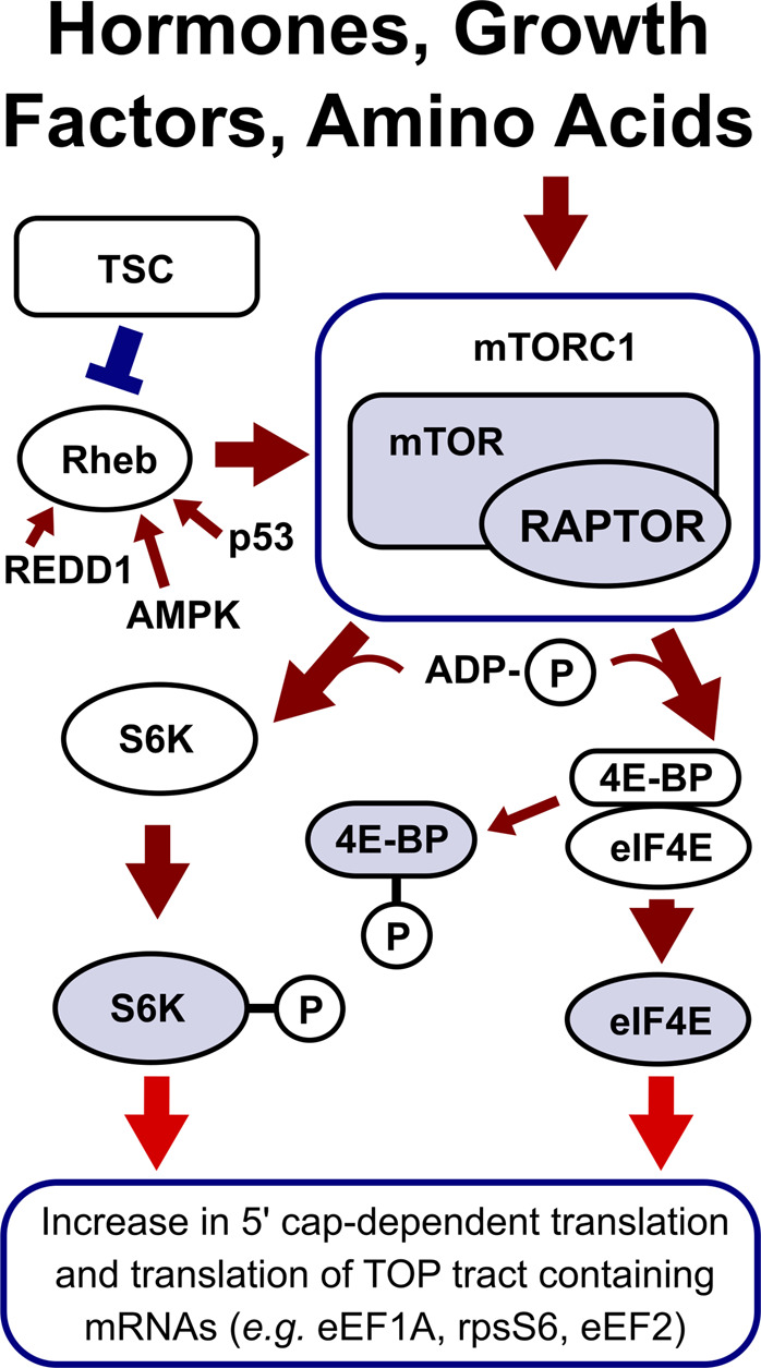 Figure 3.