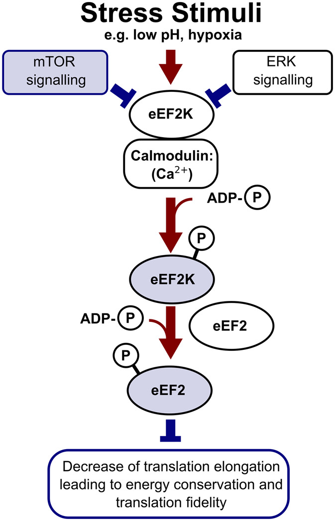 Figure 4.