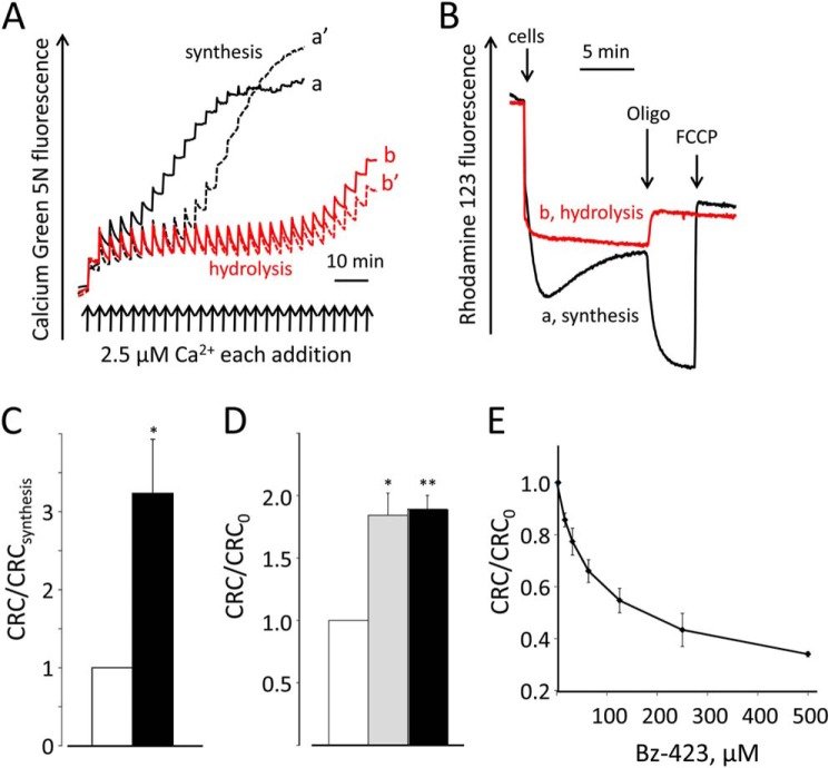 FIGURE 1.