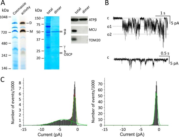 FIGURE 3.