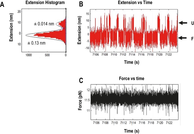 Figure 4—figure supplement 1.