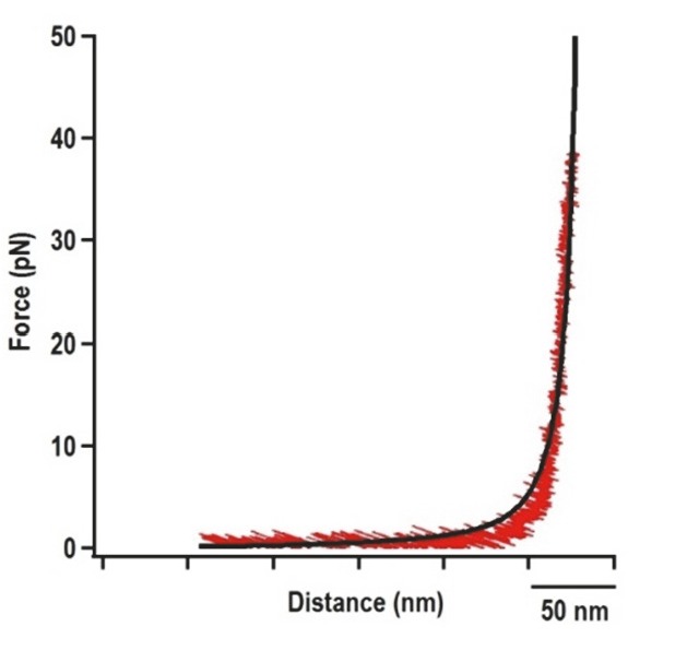 Figure 2—figure supplement 2.