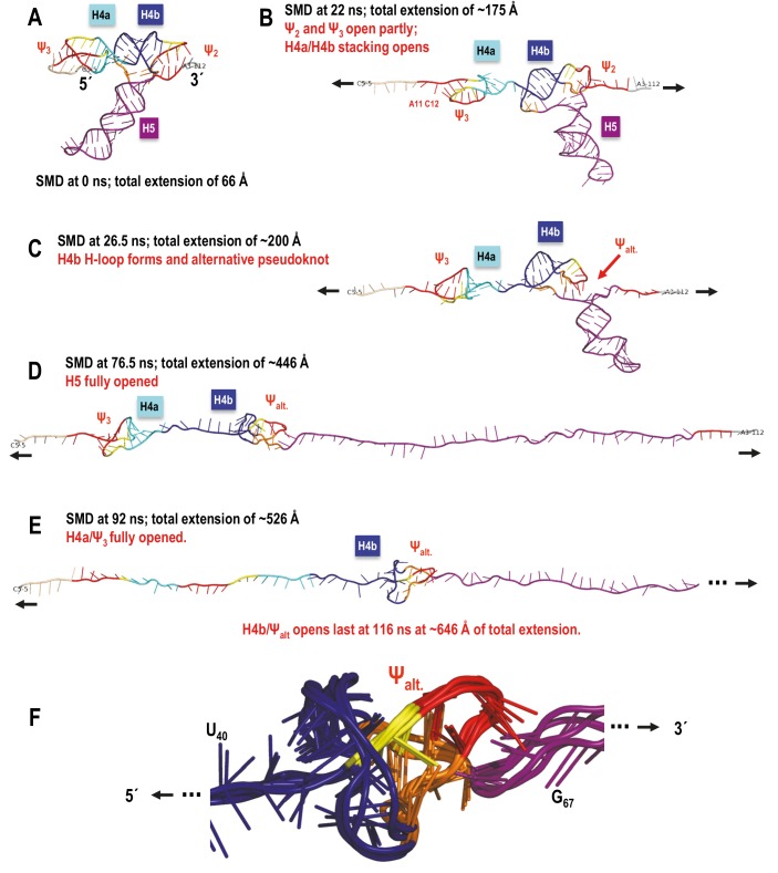 Figure 8—figure supplement 1.