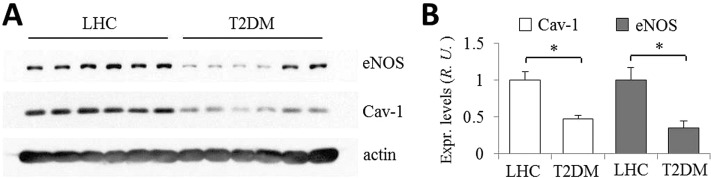 FIGURE 1: