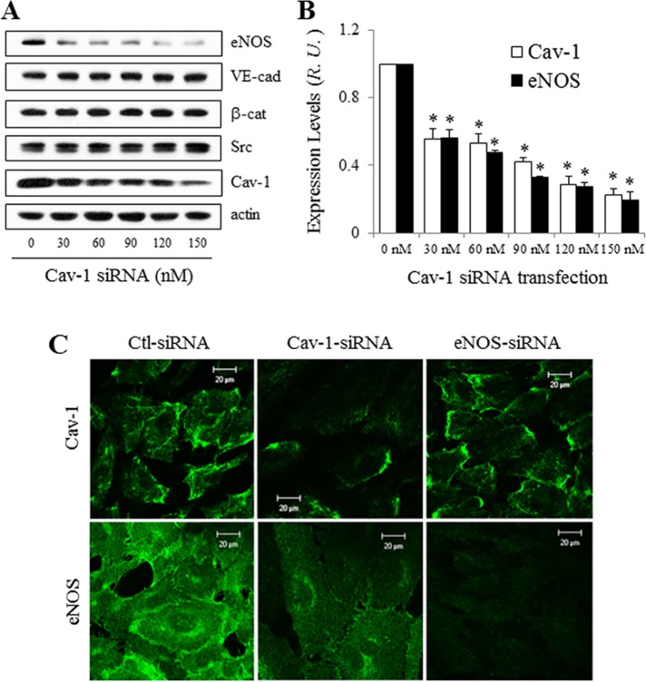 FIGURE 6: