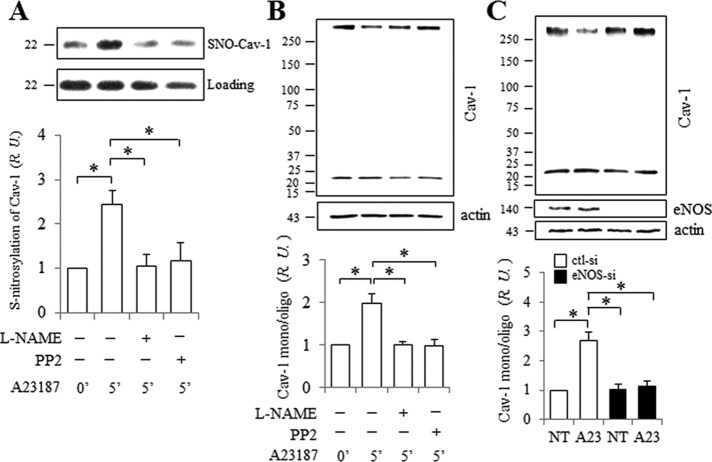 FIGURE 3: