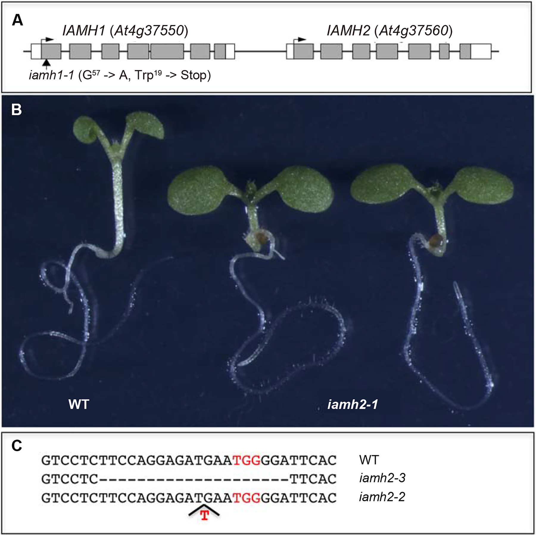 Fig 4.