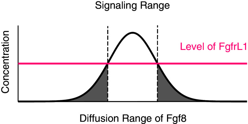 Fig. 5