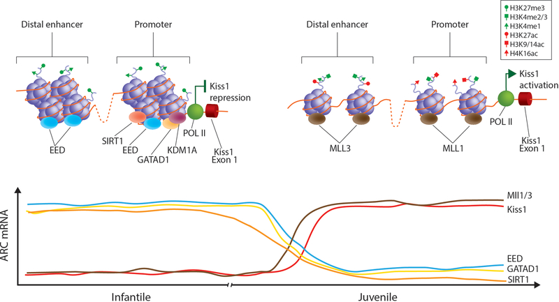 Figure 3: