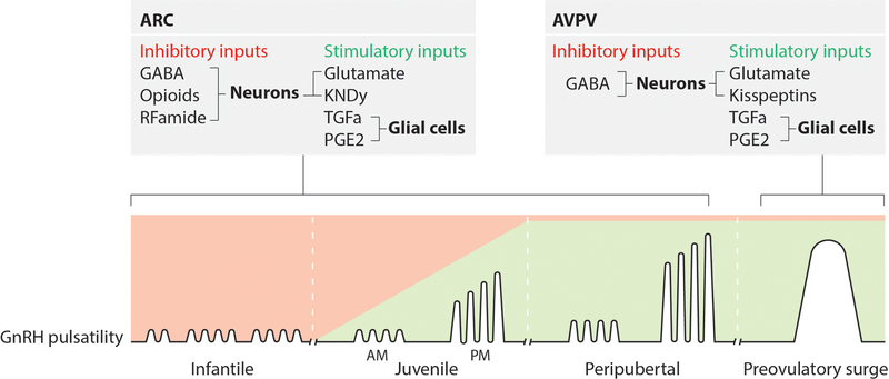 Figure 1: